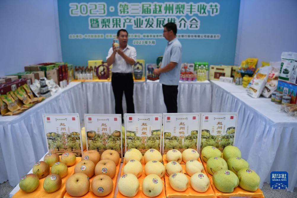 官网允许的棋牌
